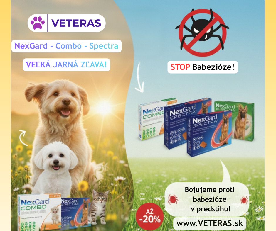 NexGard pre psy, Tablety proti kliešťom pre psov – veterinárna ochrana. Tabletka proti blchám pre psa – prevencia parazitov